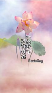 一念放下唯美图_唯美放松图，心灵慰藉，减压静心