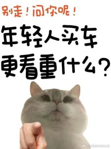 我车呢搞笑图片_100搞笑汽车图，顾客必备，乐呵乐呵不无聊！