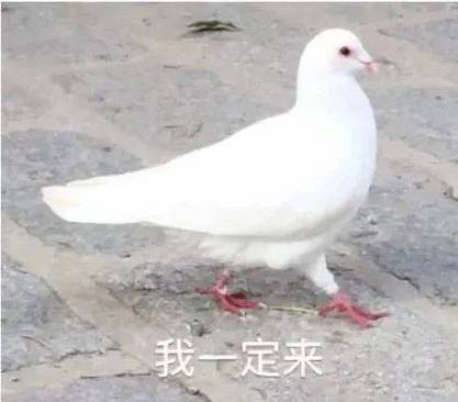 都寄吧鸽们 表情包_搞笑都寄吧鸽们表情包,调侃朋友说话不算话!_表情包 - 帅图库