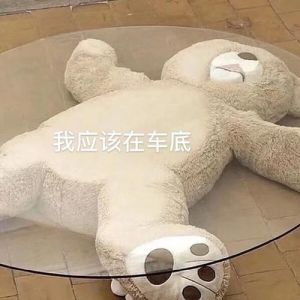 我应该在车底搞笑图_我应该在车底搞笑图，发朋友圈互动，同款紧张时刻谁有？