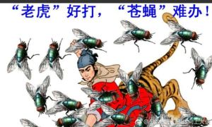 打苍蝇搞笑图片大全_拍苍蝇搞笑图，让你乐呵乐呵！