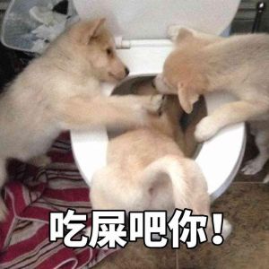 哈哈哈塞屎的表情包_哈哈哈塞屎表情包，又好笑又无奈，分享你的塞屎时刻！