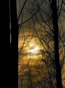 孤独的风景图片_海边影子，触动内心深处的故事