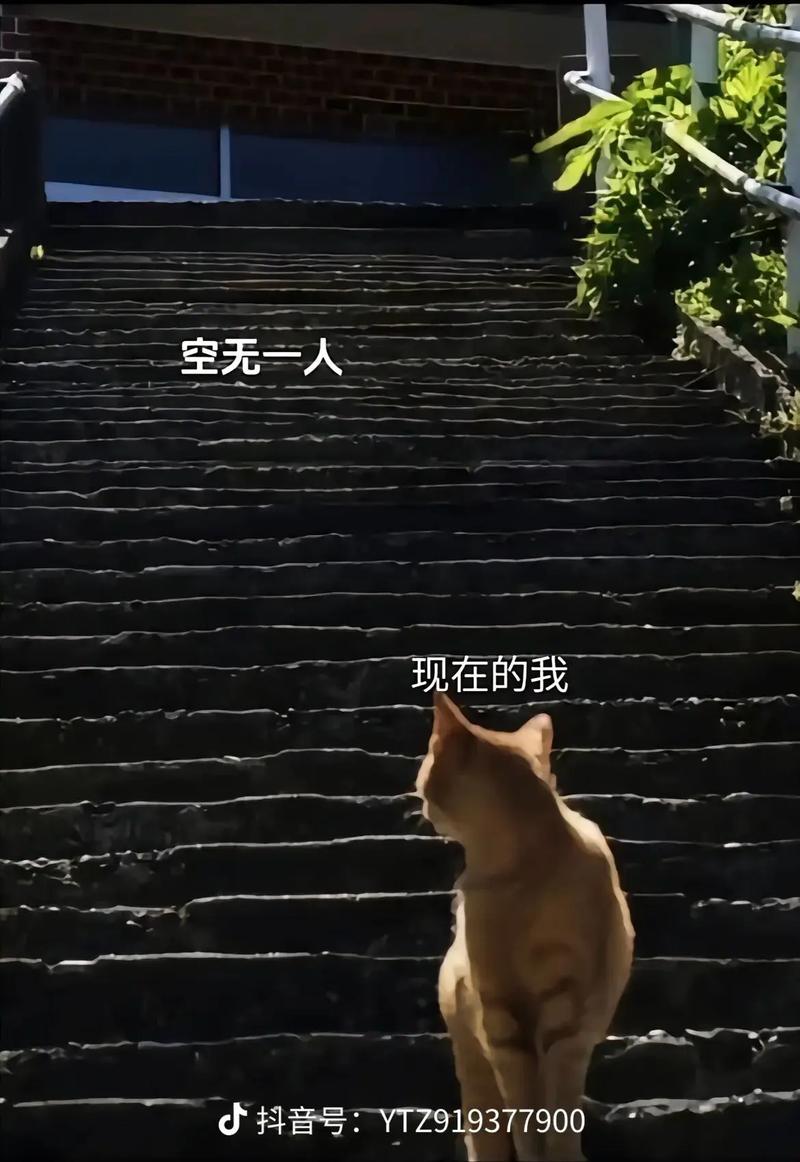 身后无一人伤感图片_看图宣泄情绪，你也有过吗？