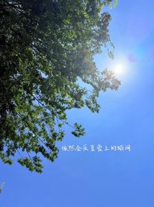 晒一晒今天的心情_生活五味杂陈，笑对风雨，珍惜当下，做独一无二的你