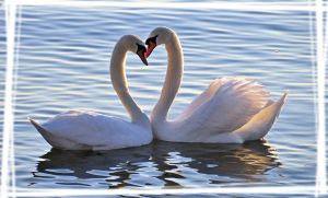 情侣墙纸桌面_换情侣壁纸！让你的手机电脑桌面更温馨浪漫