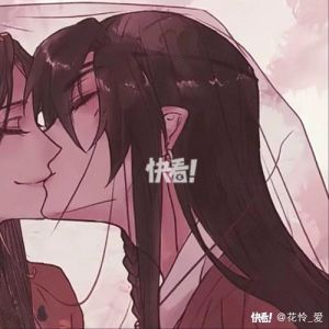 天官赐福情头一对_《天官赐福》神仙情头，情侣必备，互动感十足！