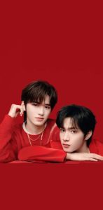 文轩cp惊艳的壁纸_文轩CP绝美壁纸，4K超清，手机电脑桌面必备！