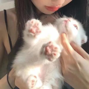 小猫零碎女头ins_吸睛碎猫咪ins头像，酷炫个性，快来试试！