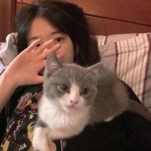 宠物美女头像_美女与猫咪头像，温馨又特别，适合做朋友圈头像，你喜欢吗？