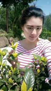 农村少女图片30张_农村小院温馨照，装裱做画忆乡情