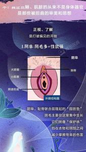 最好看的阴脣形状是什么_女性私处多样美，健康舒适最重要