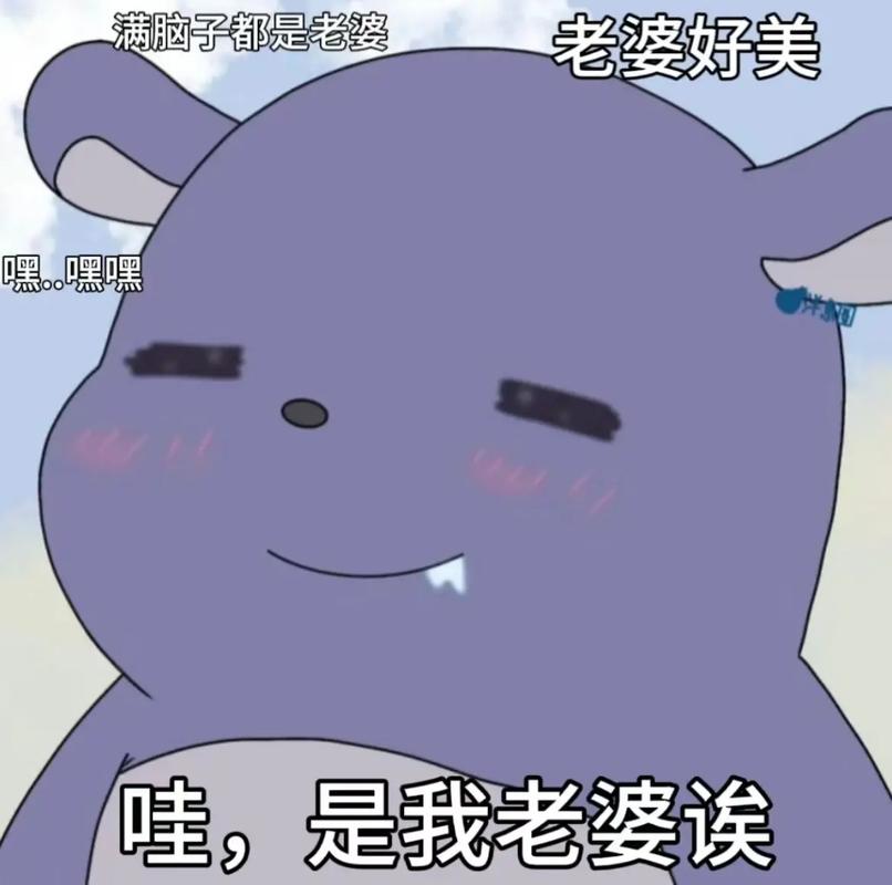 我老婆好好看表情包_我老婆好好看可爱表情包，夫妻日常聊天必备