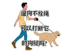 遛狗图片 搞笑 卡通_遛狗搞笑图，发朋友圈超应景！