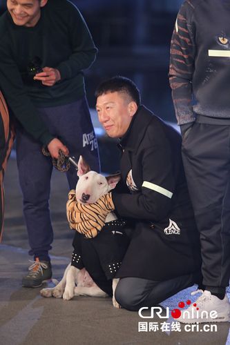 孙红雷和牛头梗图片对比_孙红雷VS牛头梗，太有喜感了！