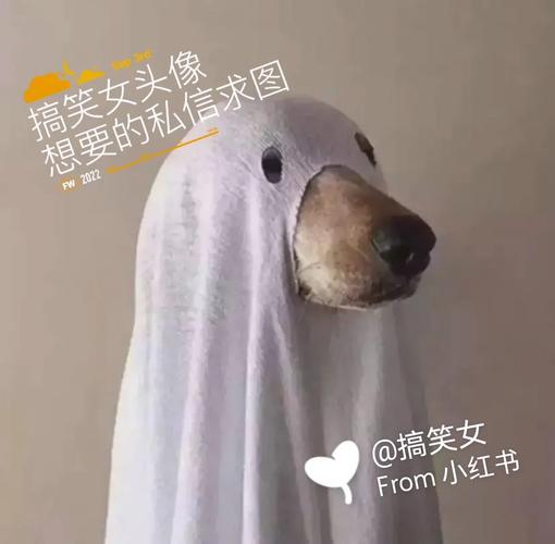 搞笑内涵的图片大全女_聚会必备搞笑图，瞬间点燃气氛！