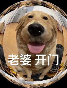 老婆每天都要开心表情包_老婆开心表情包，让她每天都乐呵呵！